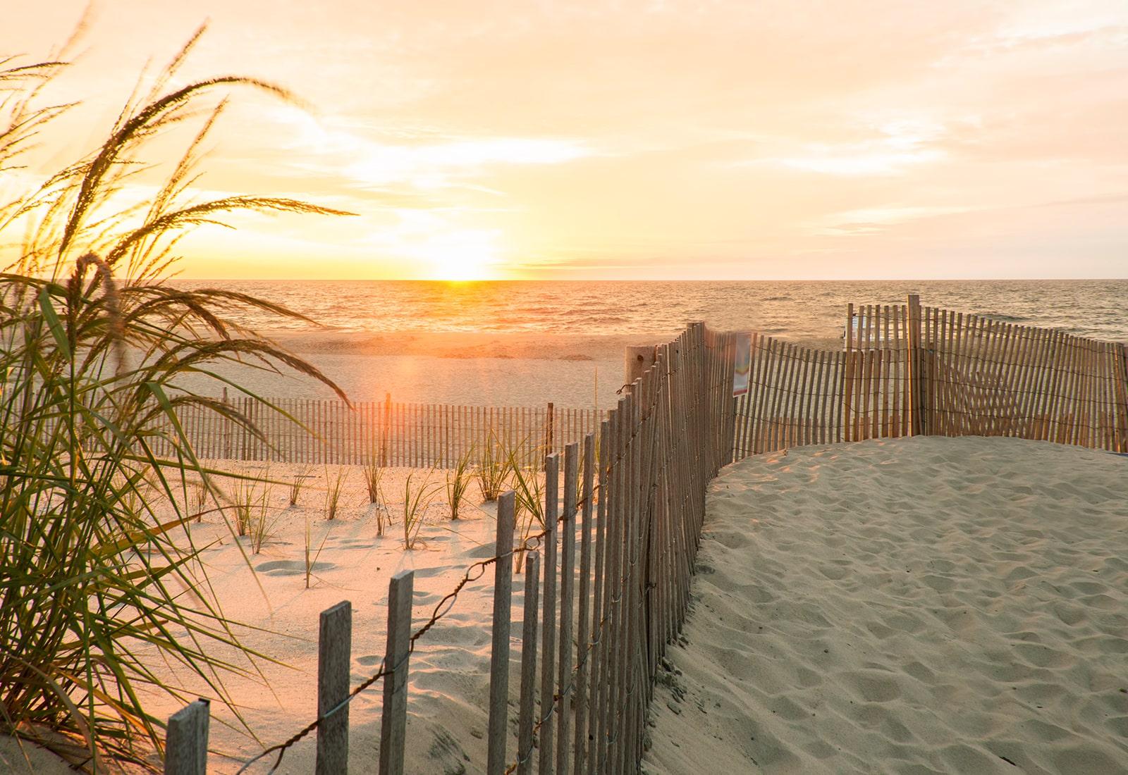 Dune fence and beach grass at sunset